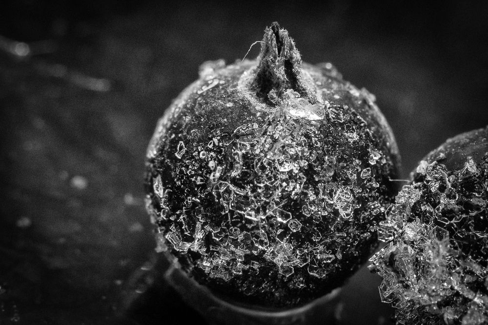 Photograph by Анна Крюкова