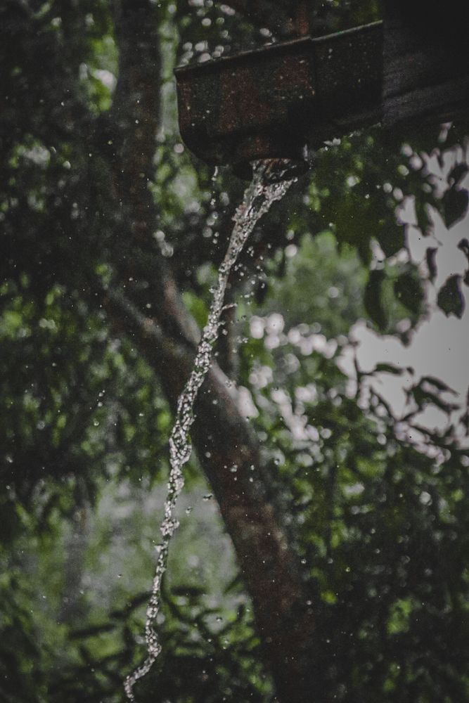 Photograph by DINETH NAMBUKARAWASAM MAHASARANGU HEWAG