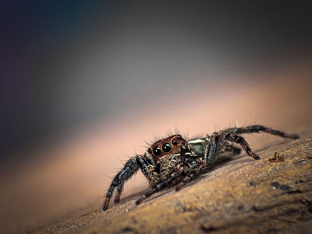 Photograph by thbliq_azman