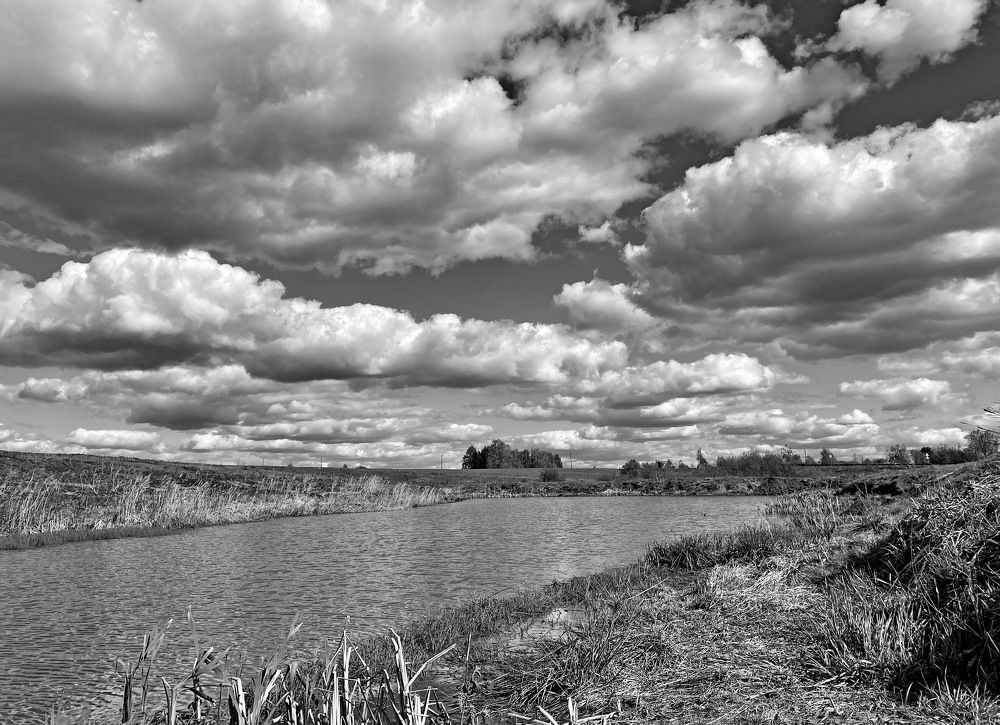 Photograph by Светлана Дебрская