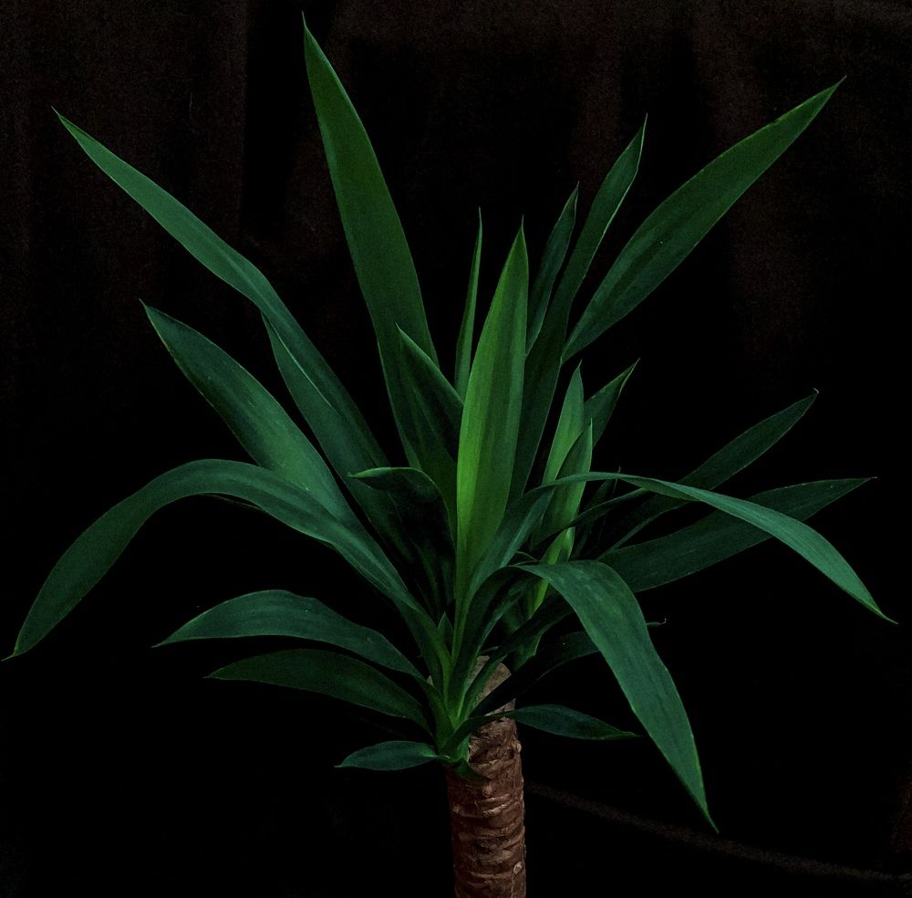 Photograph by Maria Yeromina