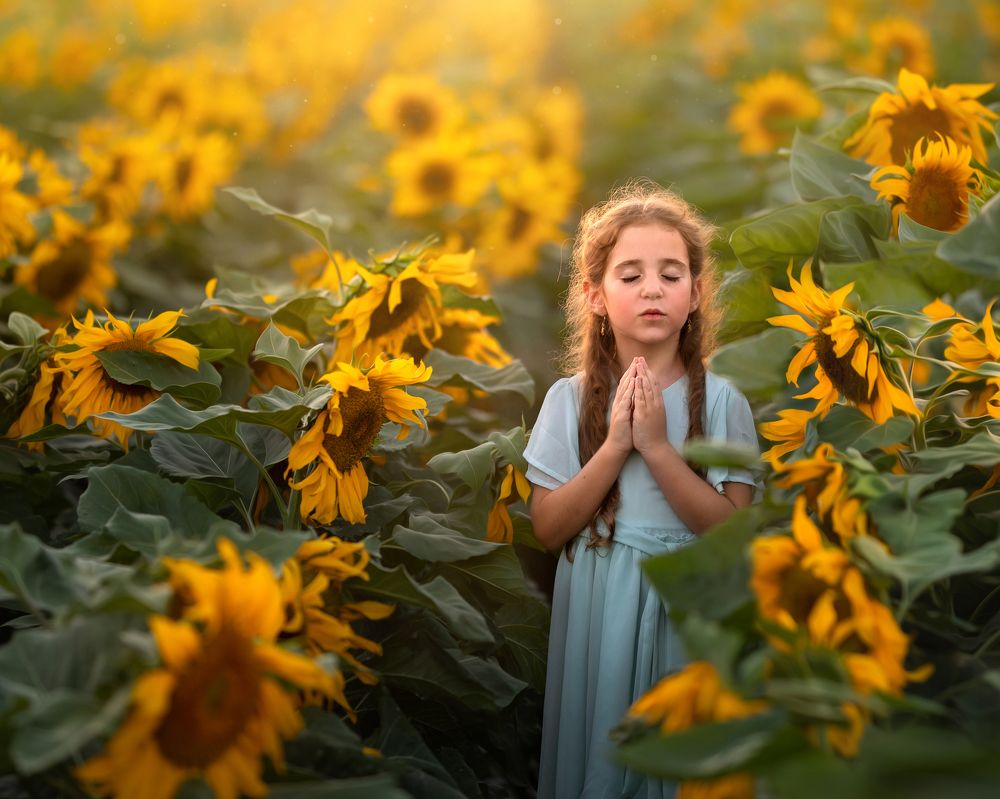 Photograph by Hamutal Avioz