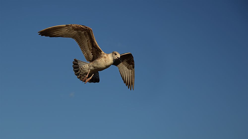 Photograph by Алексей Парамонов