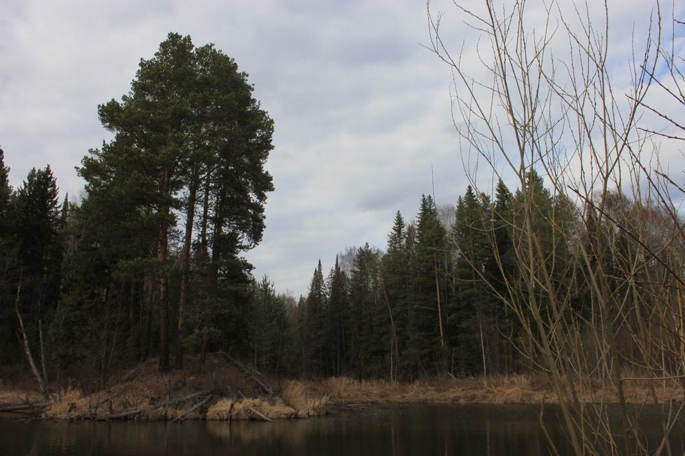 Photograph by Махлай Наталья