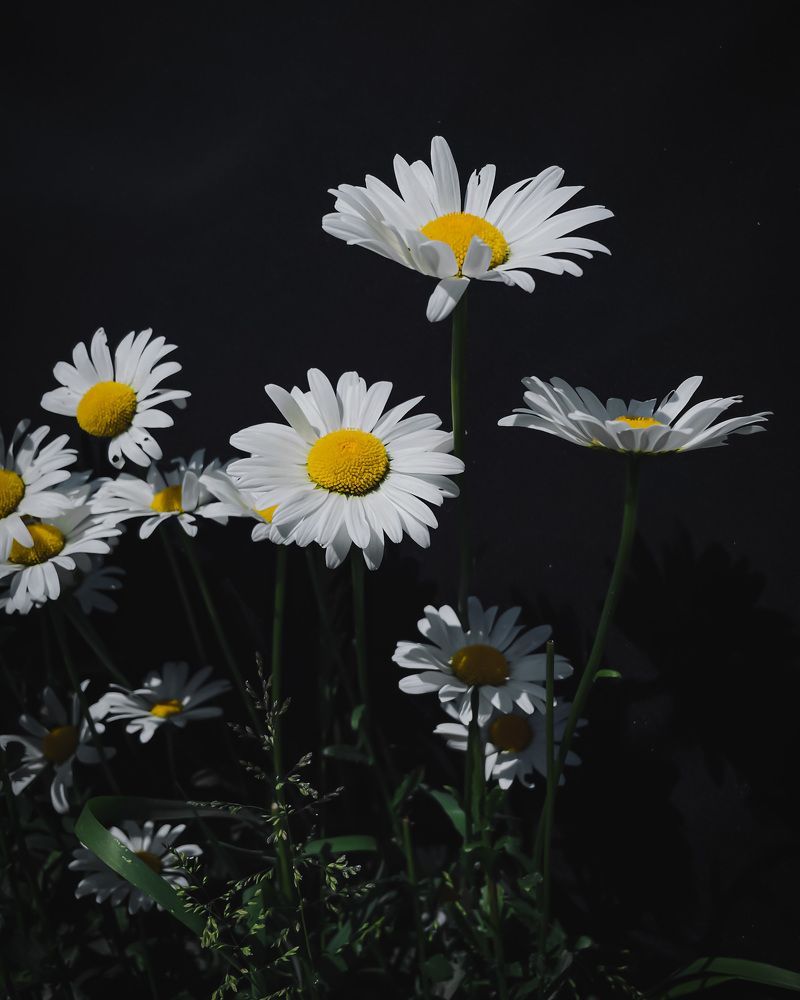 Photograph by Марина Тверитнева