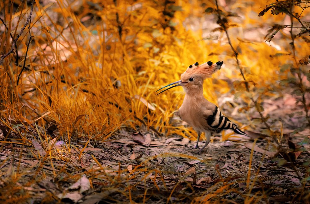 Photograph by Farhan Ahmed