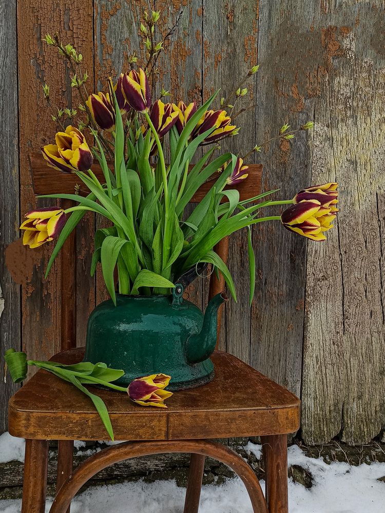 Photograph by Ирина Дегтярева