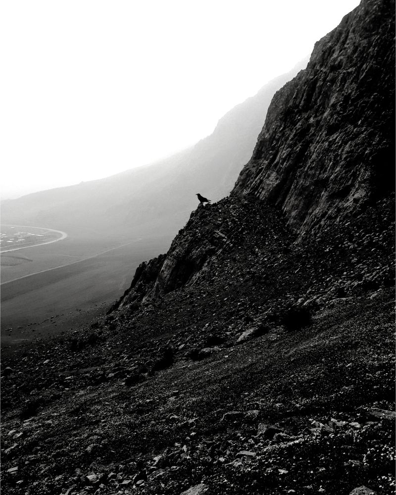 Фотография автора mohammadreza izadi