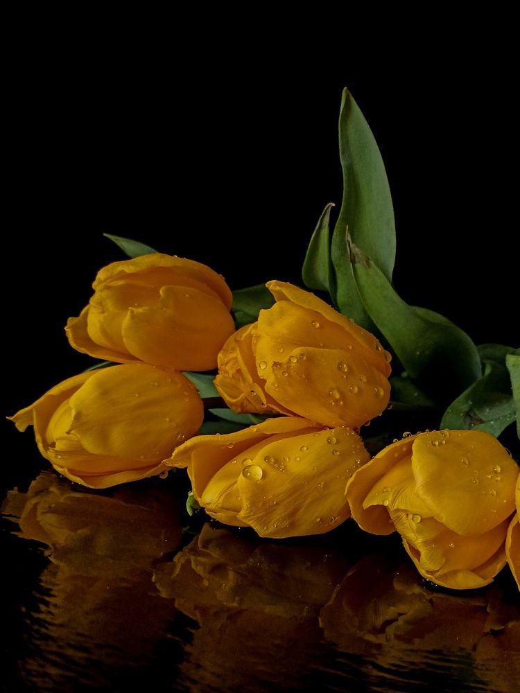 Photograph by Ирина Дегтярева