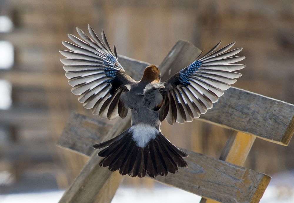 Photograph by Татьяна Титова