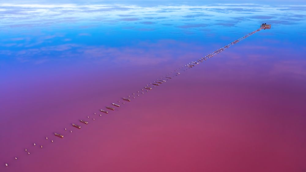 Photograph by Александр Шинкаревский