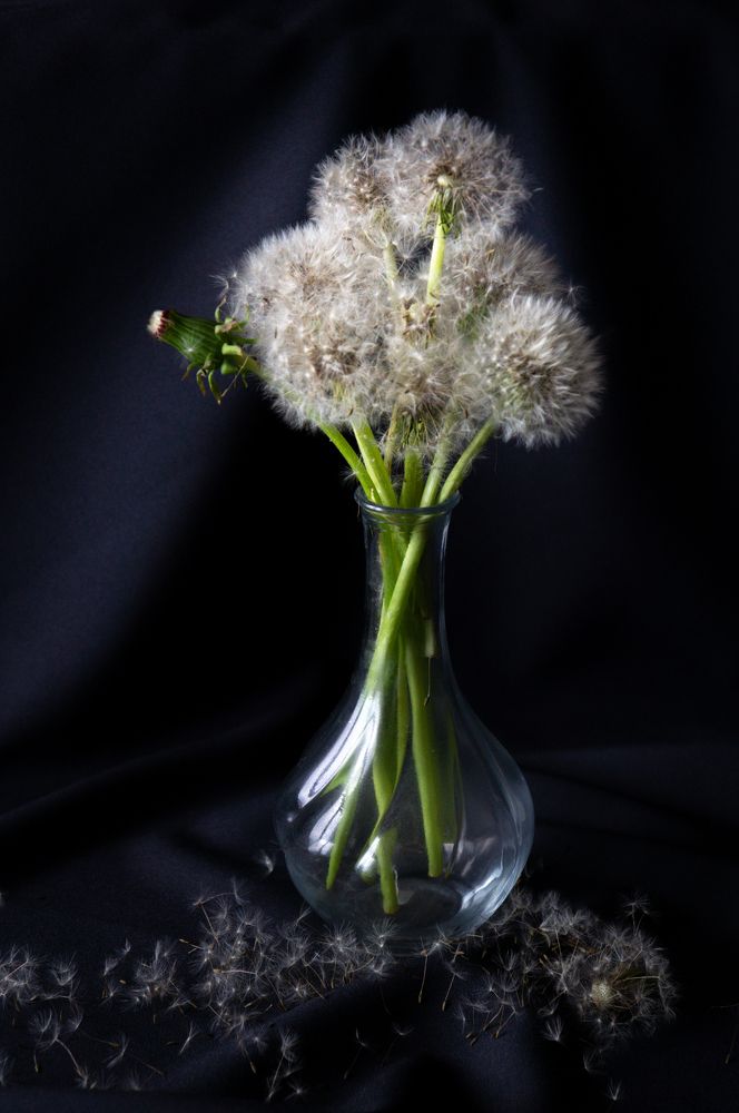 Photograph by Светлана Нестерова