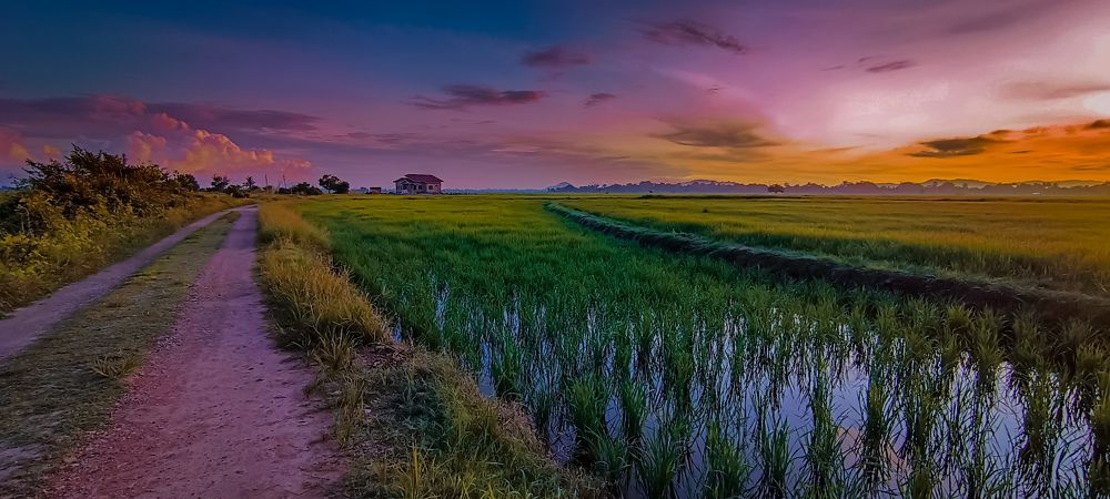 Photograph by Fazdriel Arham Ibrahim