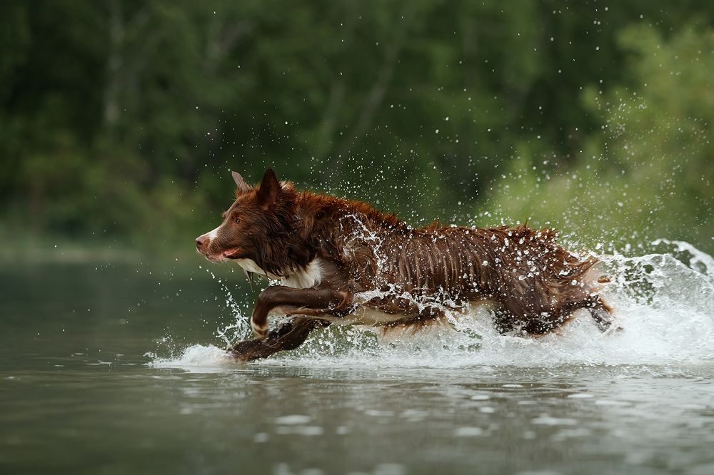 Photograph by Ольга Легенькая