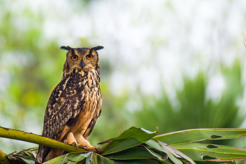 Photograph by Vivek Sundaram