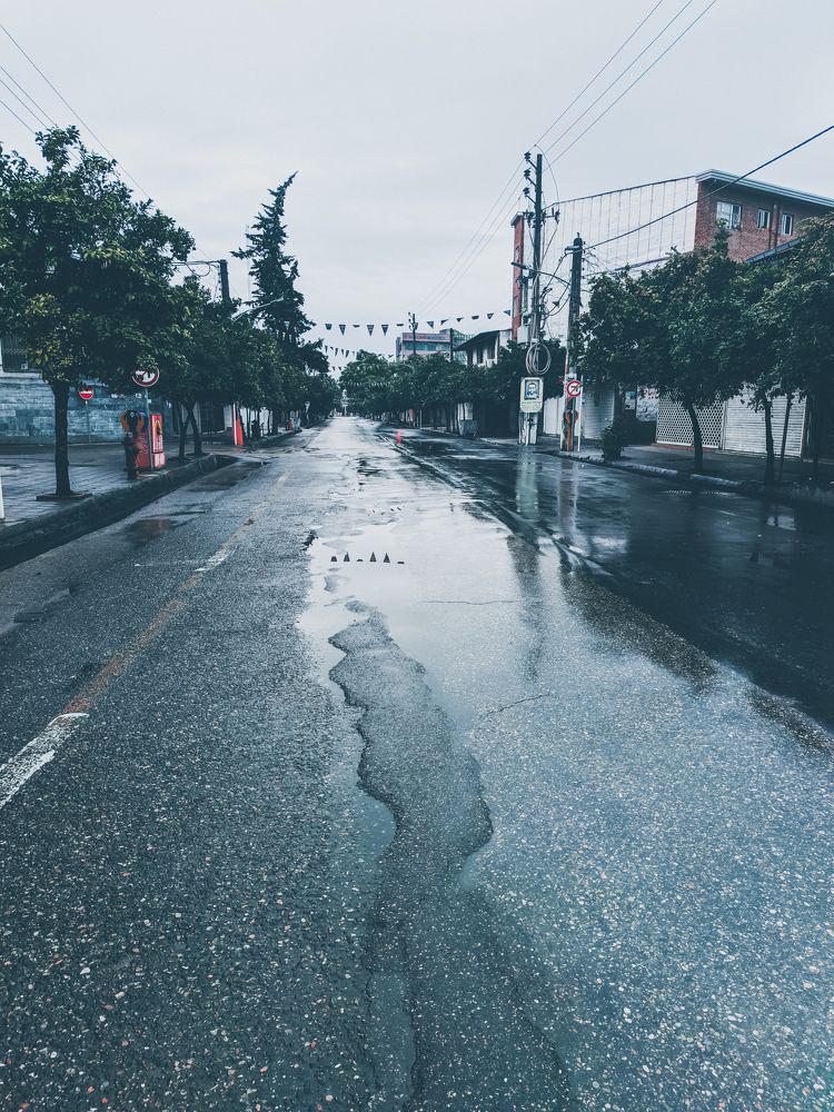 Photograph by mehdi shokravi