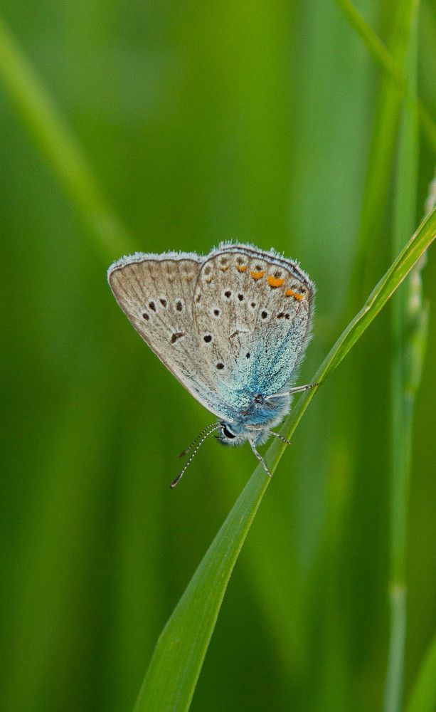 Фотография автора Алексей Тимофеев