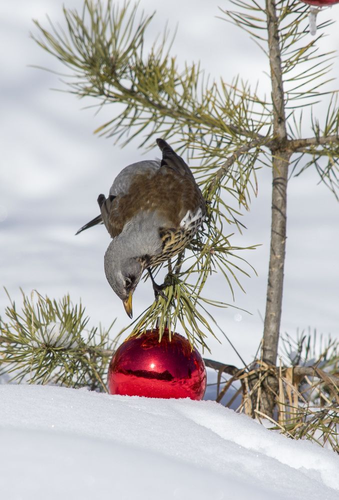 Photograph by Татьяна Титова