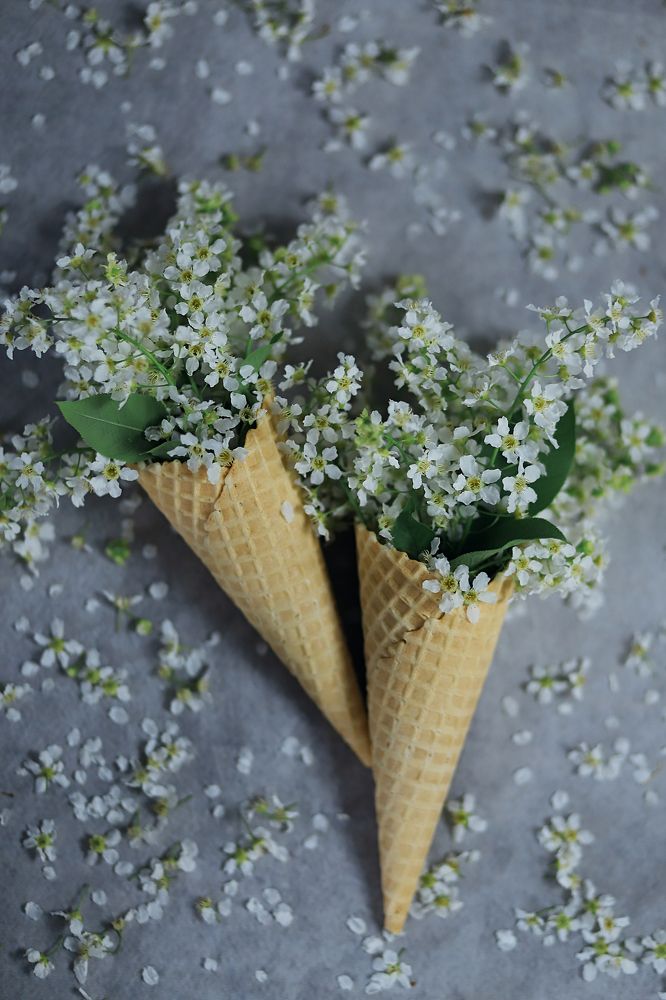 Photograph by Олеся Кучерова