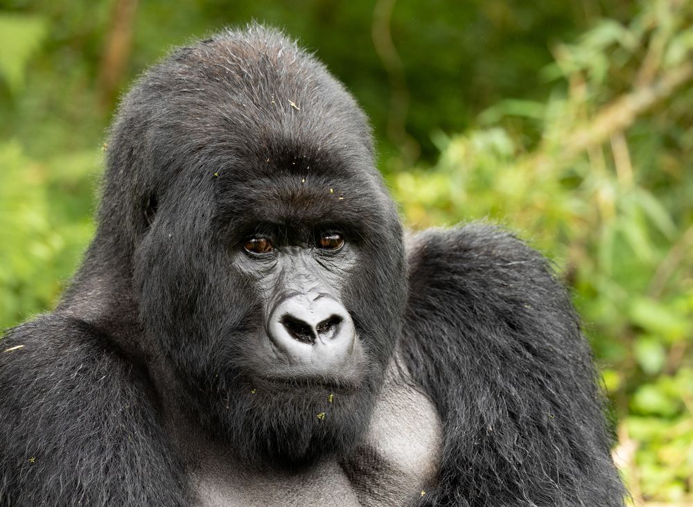 Photograph by Raquel Barao