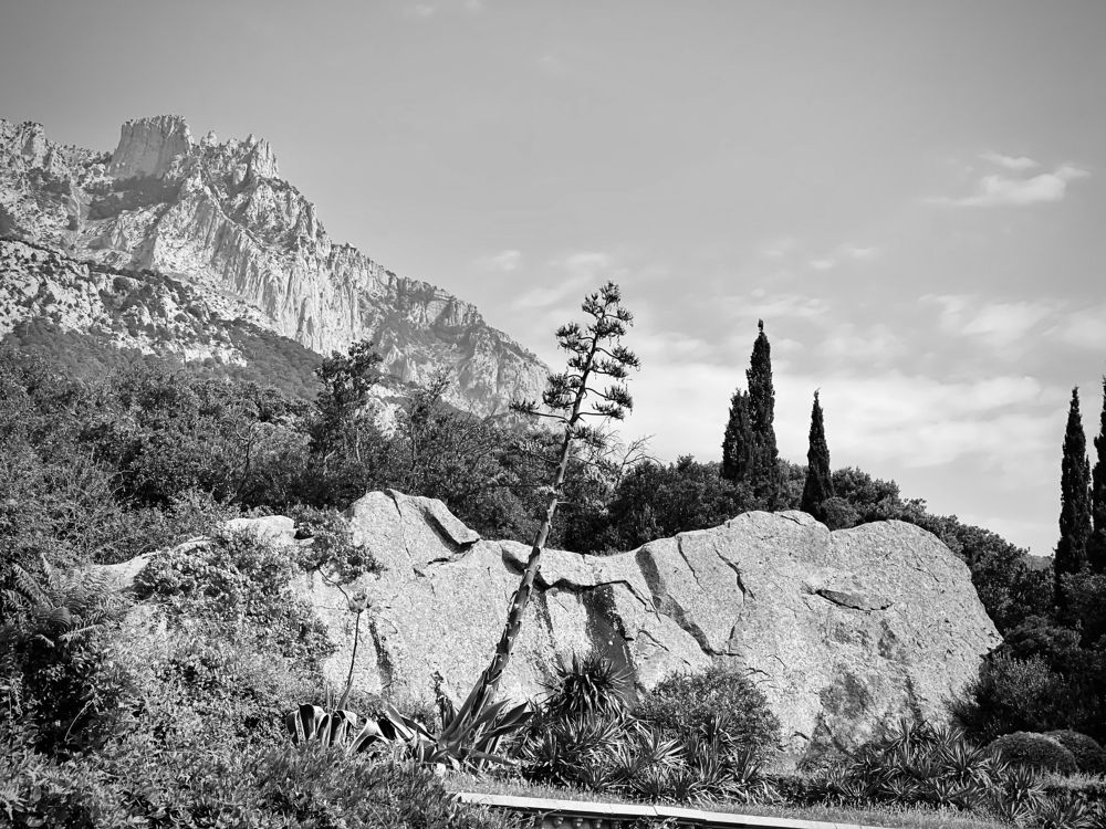 Photograph by Кристина Лихота