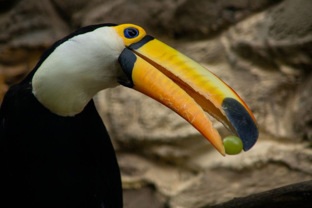 Photograph by Ольга Долгополова