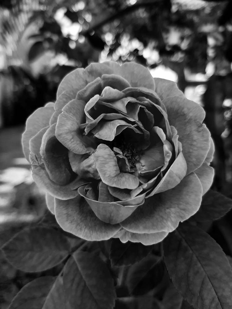 Фотография автора Hepzibah