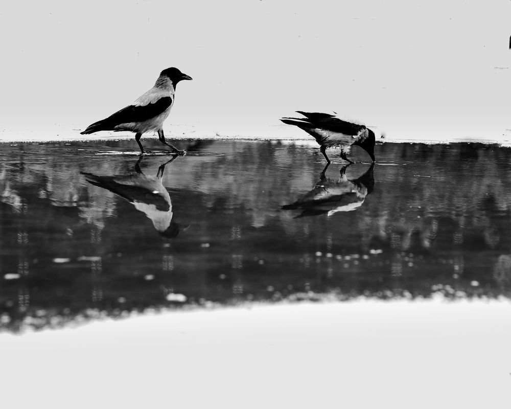 Photograph by Arman Tolieh