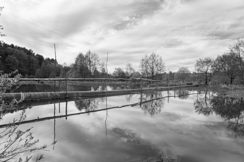 Photograph by Герман Корнеев