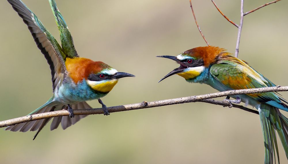Photograph by Виктор Недашковский