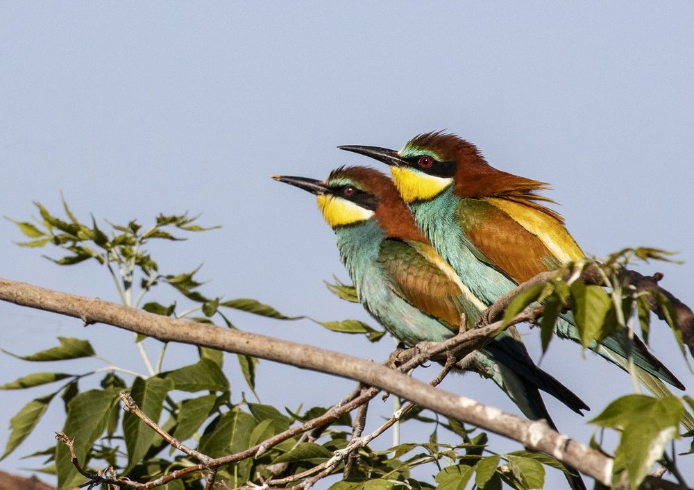 Photograph by Виктор Недашковский