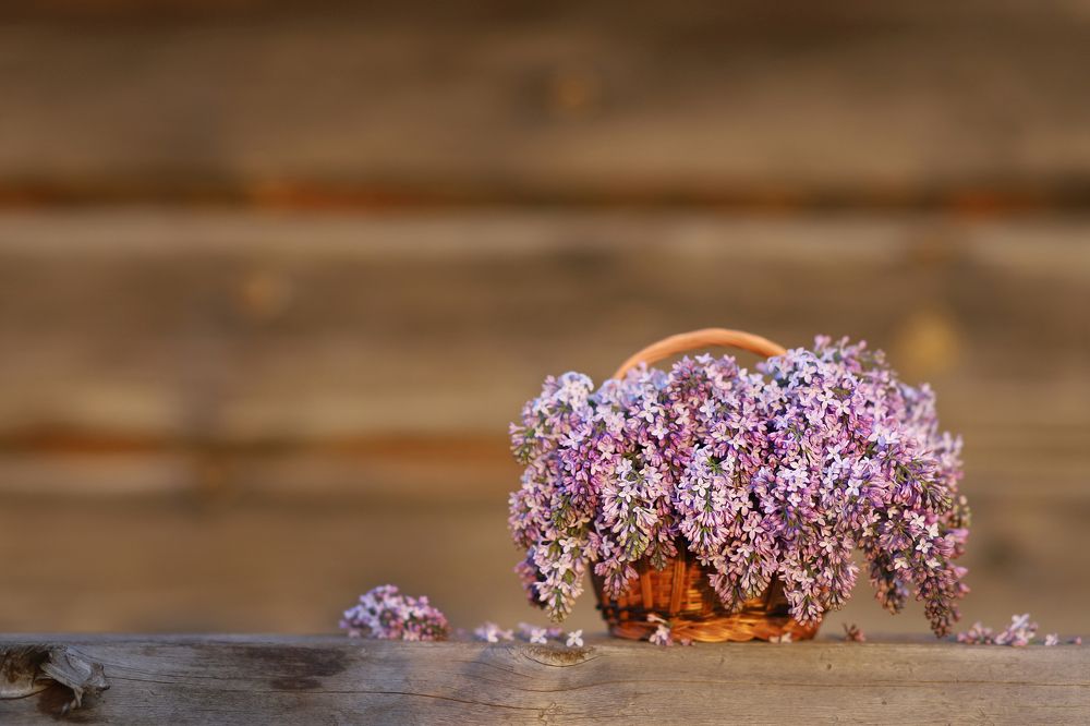 Photograph by Олеся Кучерова