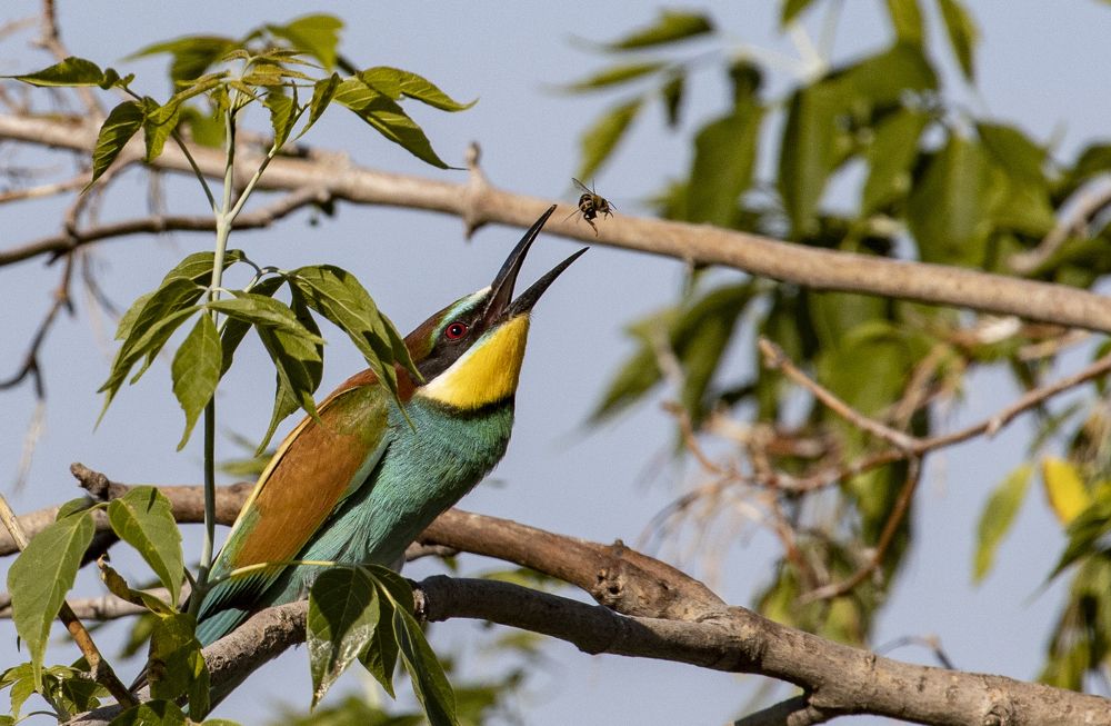 Photograph by Виктор Недашковский