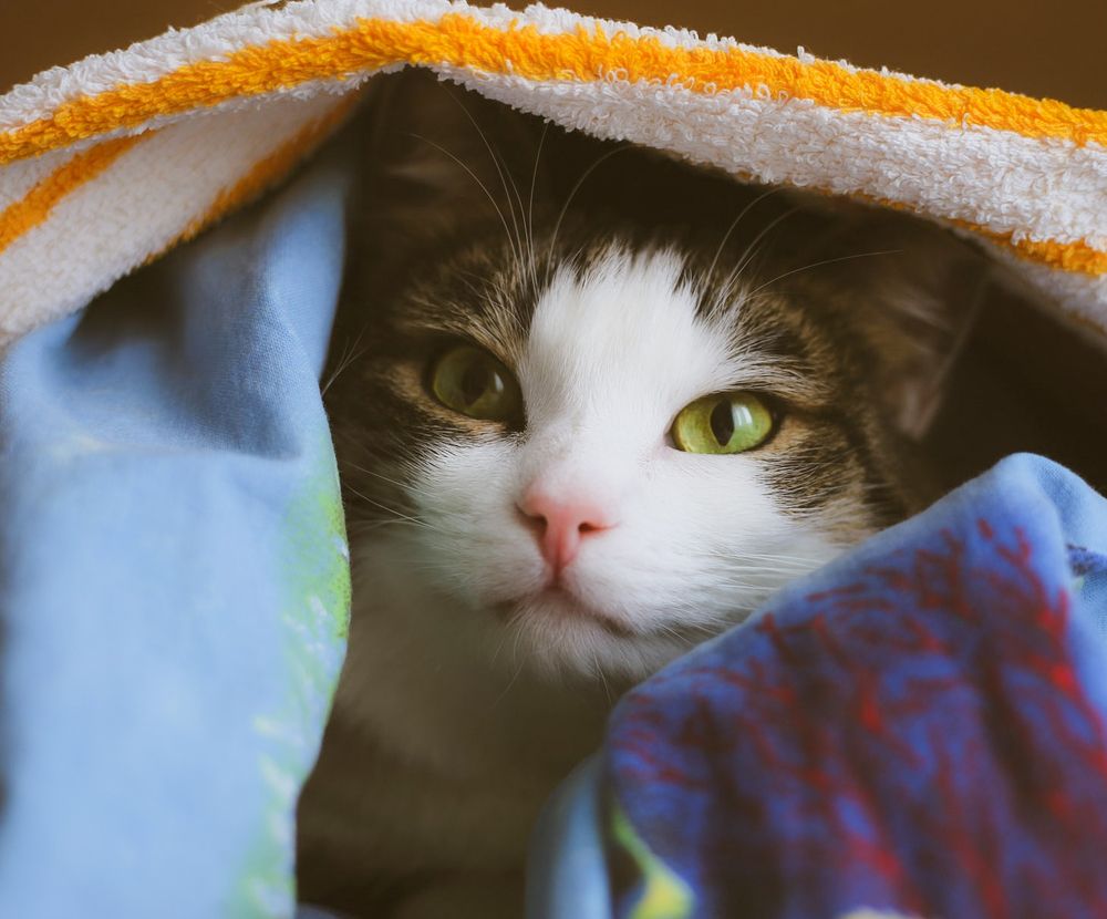 Photograph by Valerdefd