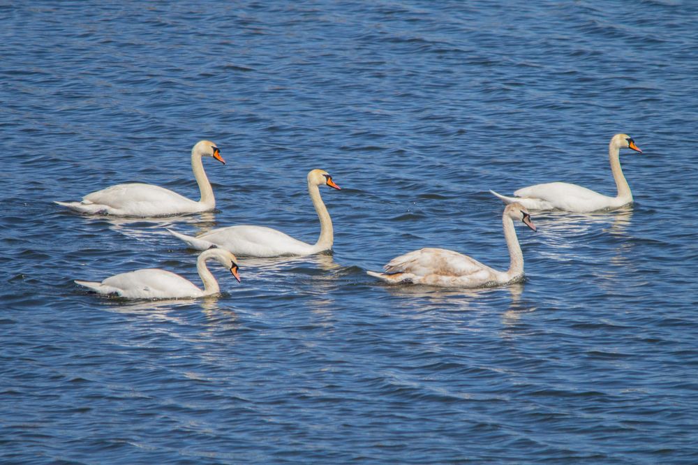 Photograph by Евгения Черво