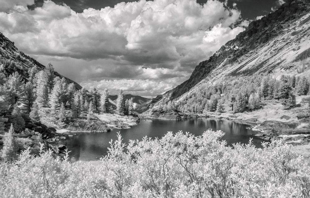 Photograph by Олег Безбородов