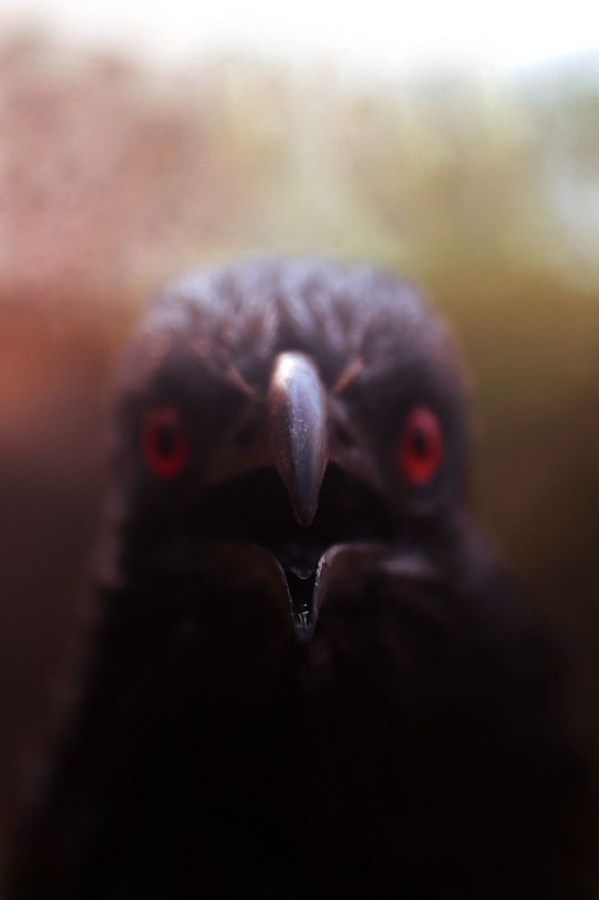 Photograph by Ogundele Ayorinde