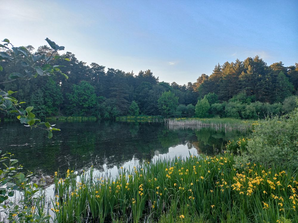 Photograph by Герман Корнеев