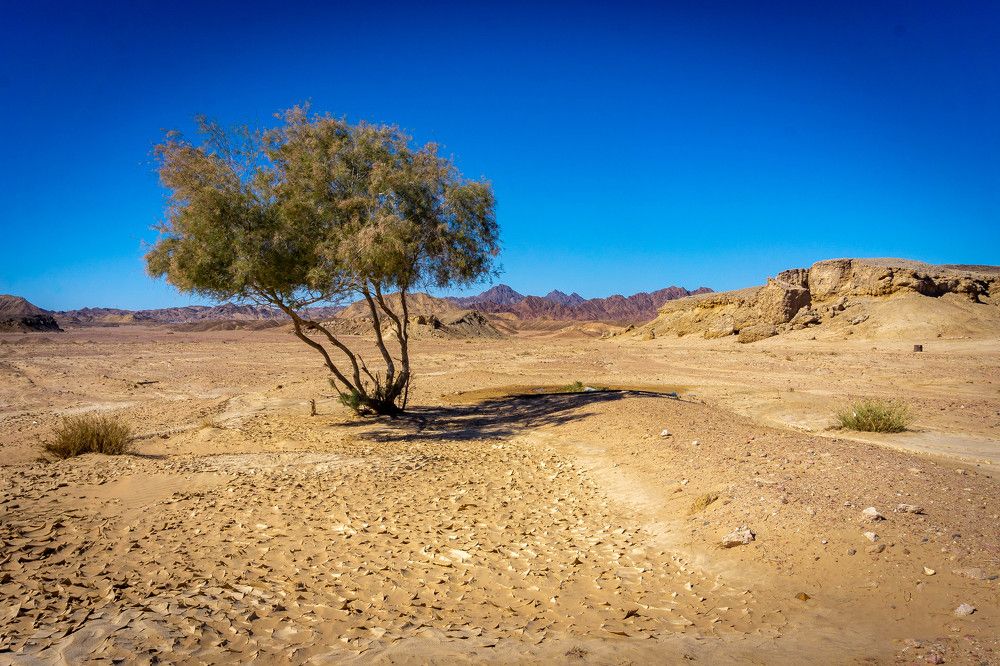 Photograph by Юрий Можейко