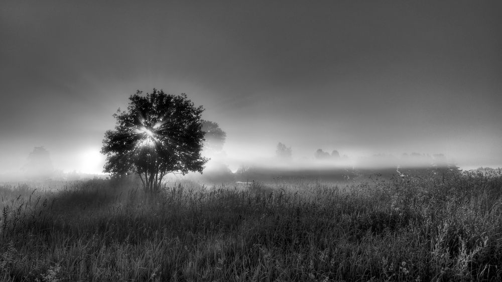 Photograph by Александр Корчагин