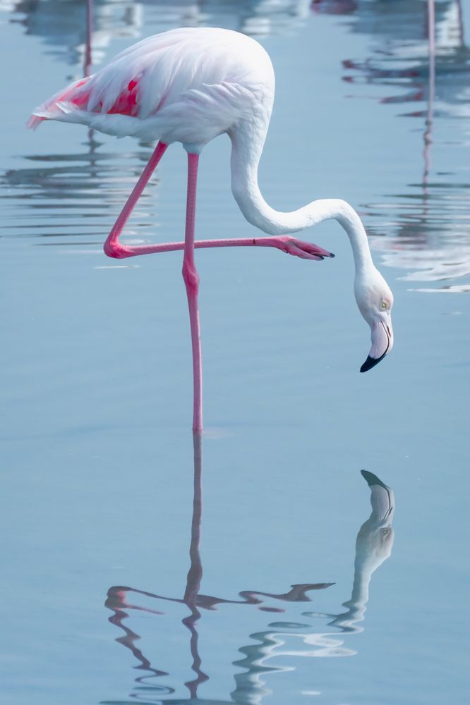 Photograph by Olga Baklunova