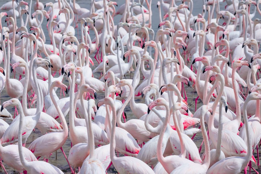 Photograph by Olga Baklunova