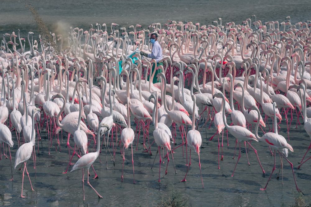 Photograph by Olga Baklunova