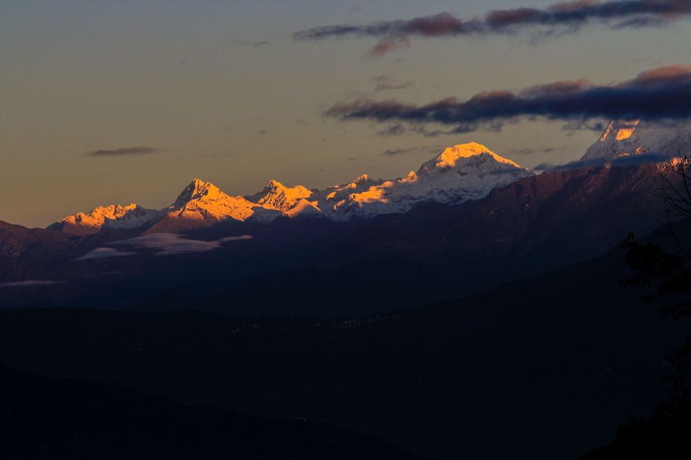 Фотография автора Suman Roy