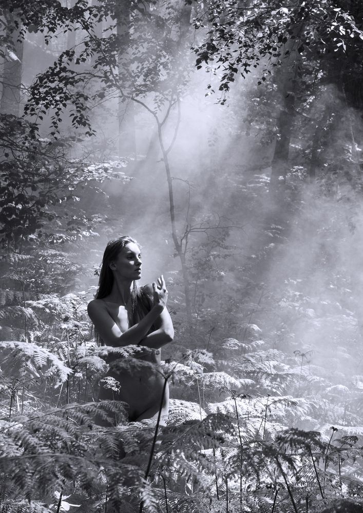 Photograph by Zdeněk Roman