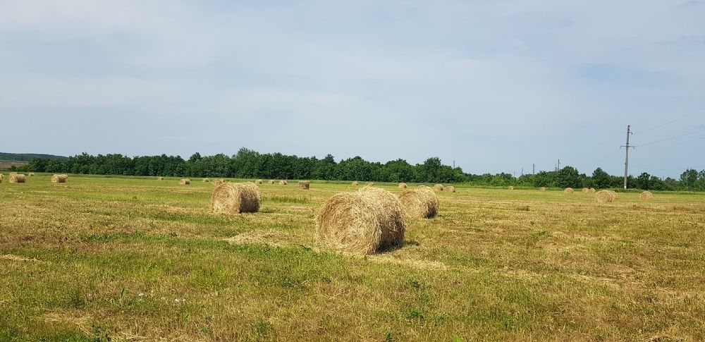 Фотография автора Ольга Мусина