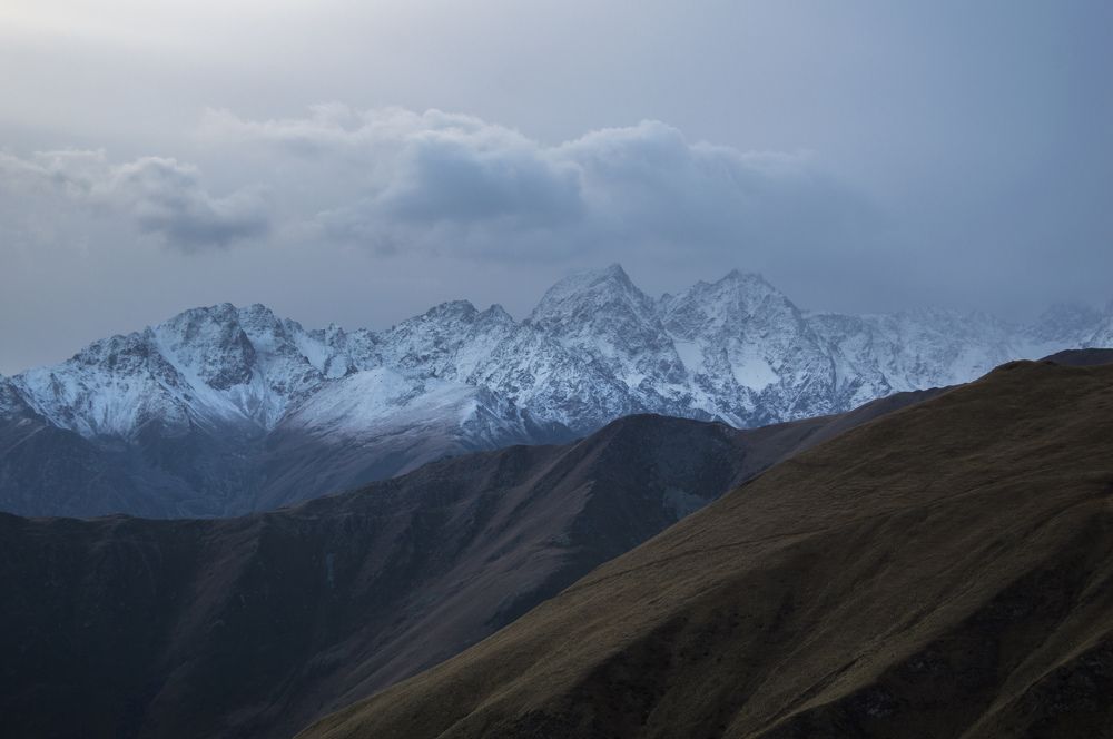 Шоколадный торт высокогорья