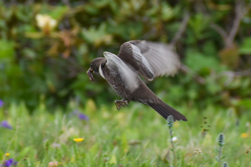 Photograph by Михаил Жарков