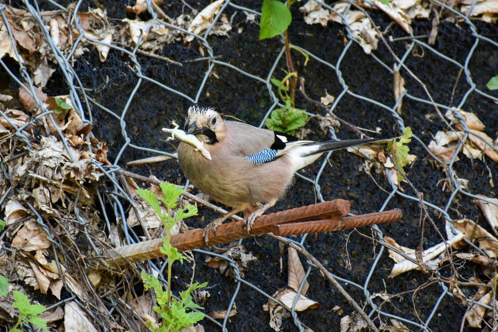 Photograph by Михаил Жарков