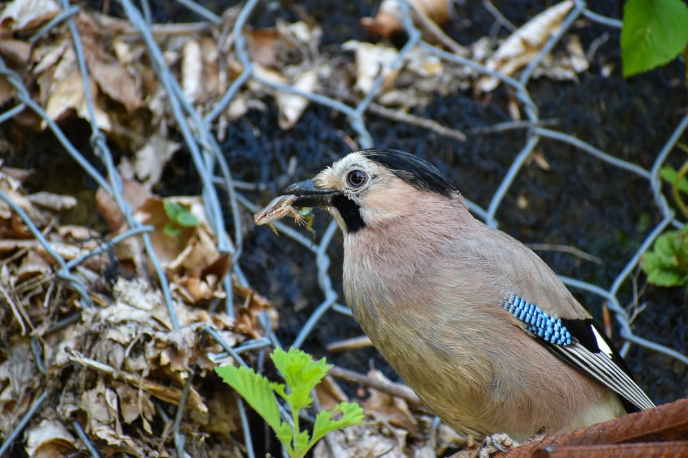 Photograph by Михаил Жарков